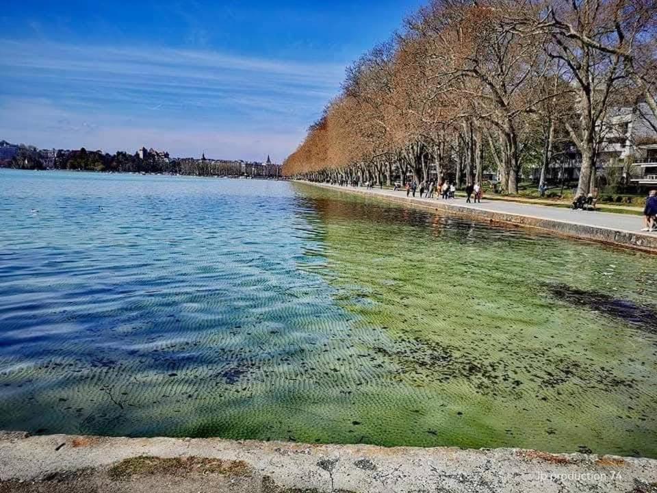 La Petite Venise Des Alpes, Ultra Centre 1 A 5 Pers Lägenhet Annecy Exteriör bild